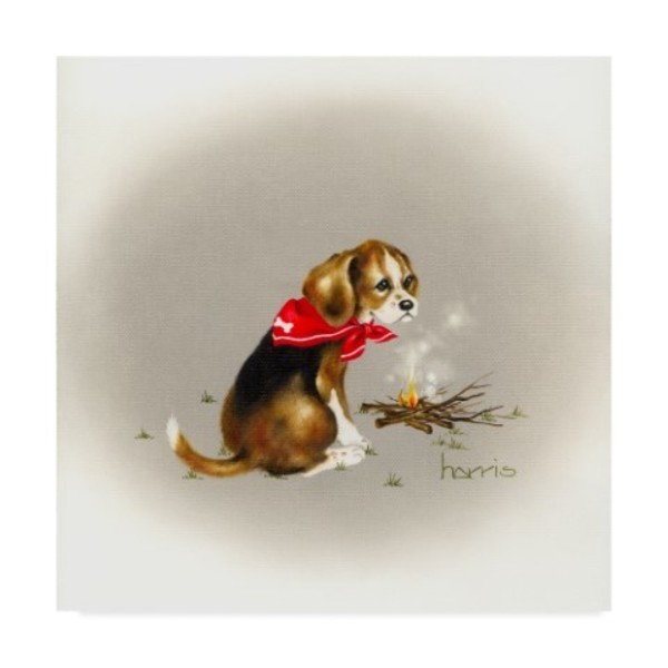 Trademark Fine Art Peggy Harris 'Beagle Scout' Canvas Art, 35x35 ALI42264-C3535GG